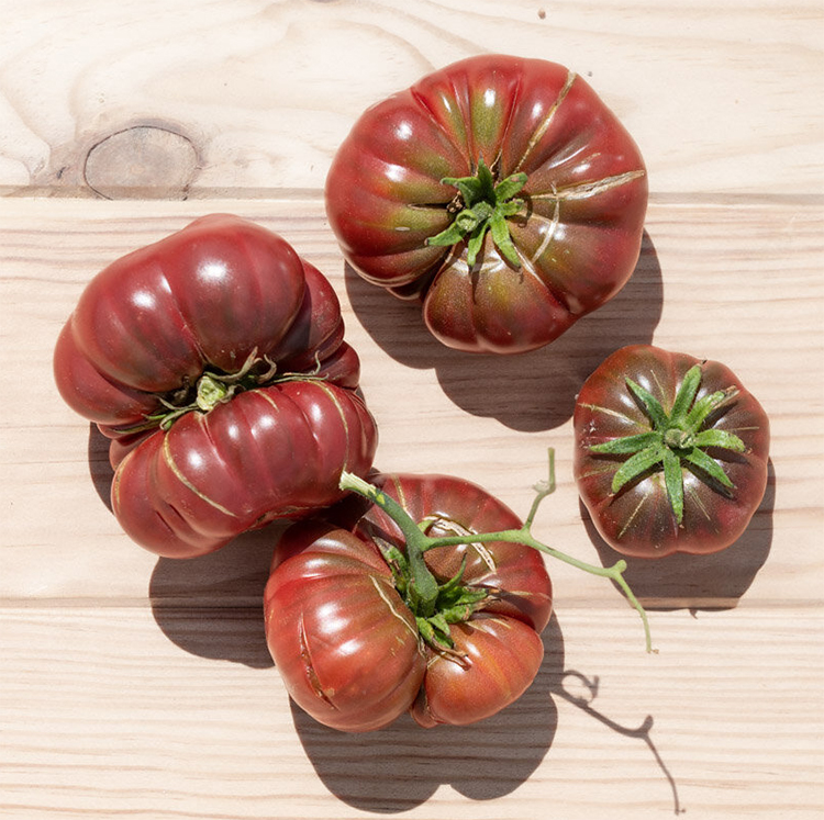 Tomato "Purple Calabash"